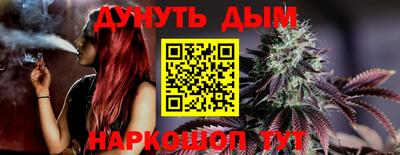 тгк Кингисепп