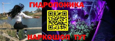 тгк Кингисепп