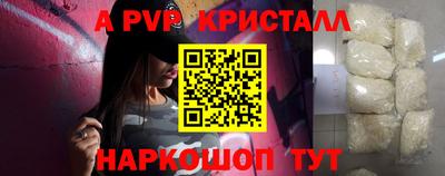 тгк Кингисепп