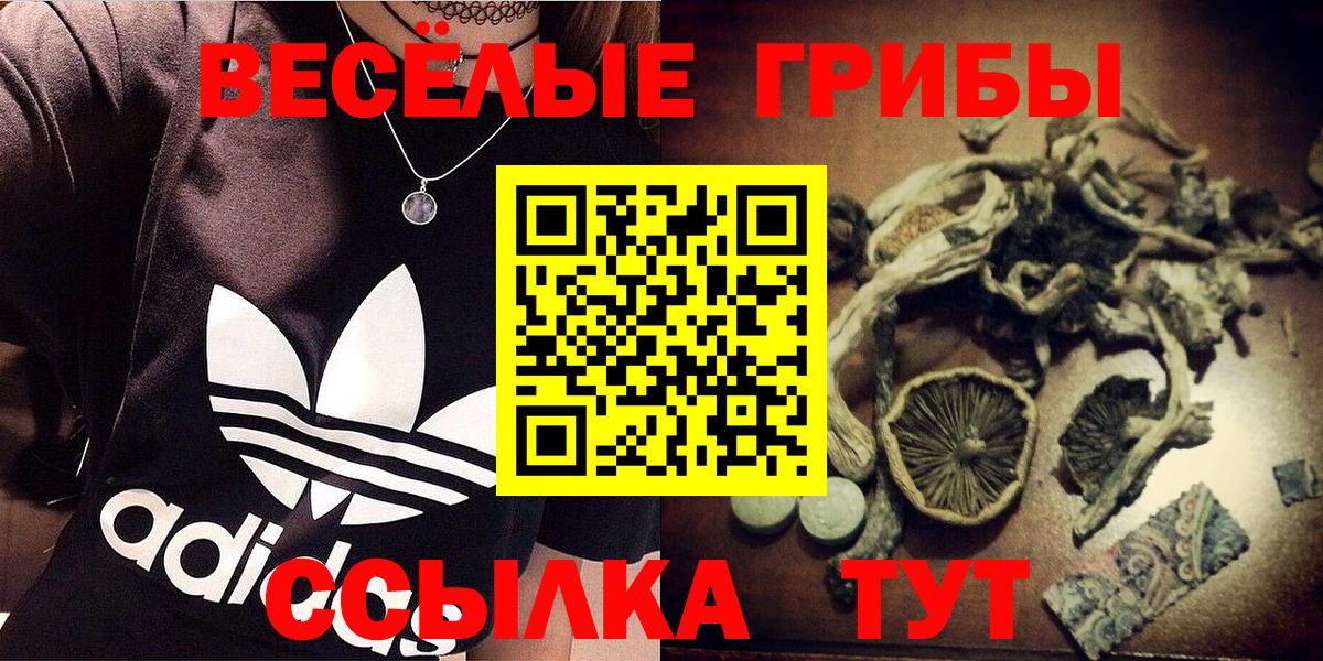 Псилоцибиновые грибы мицелий  Псилоцибиновые грибы Psilocybe  Чернушка  Вход с VPN 