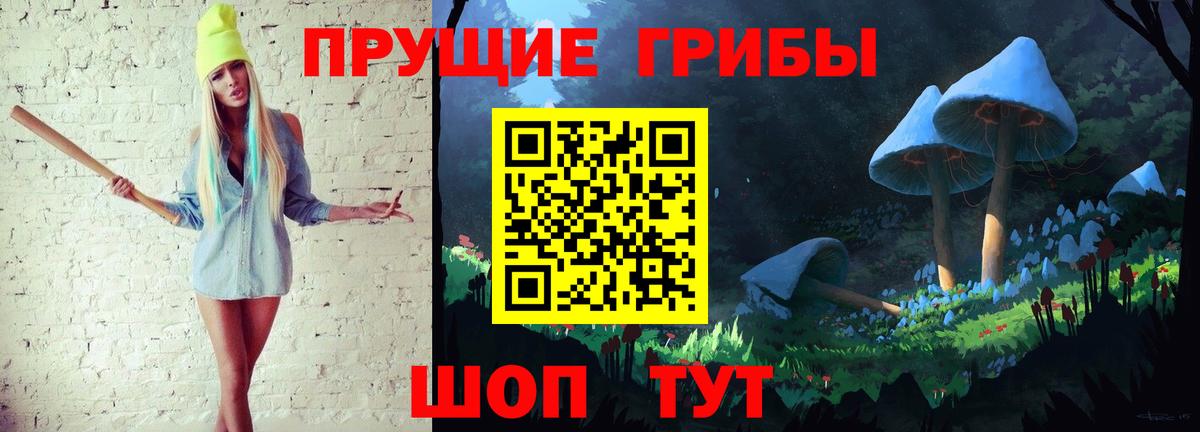 Галлюциногенные грибы мухоморы Чернушка